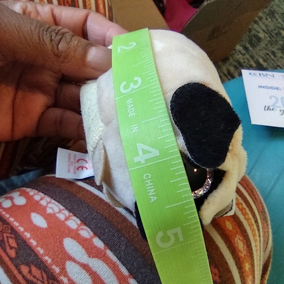 •Ty Teeny Candy the Pug Dog (5 inch) plush - Picture 2 of 13